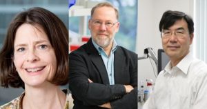 The Nobel Prize winner’s legacy: research with regulatory T cells at IMPACT